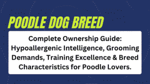Poodle Breed Standard Complete Ownership Guide: Hypoallergenic Intelligence, Grooming Demands, Training Excellence & Breed Characteristics for Poodle Lovers 9 Poodle dog Breed