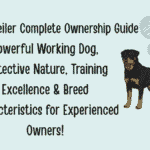 Rottweiler Complete Ownership Guide