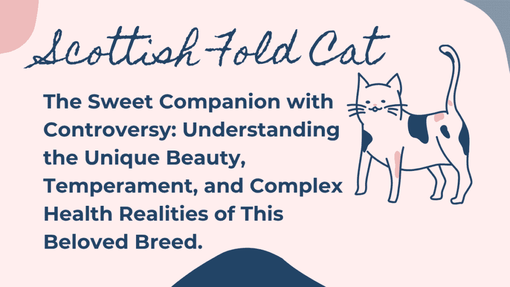 Scottish Fold Cat Complete Profile: Gentle Grace Wrapped in Distinctive Ears 1 Scottish Fold Cat