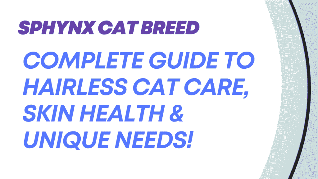 Sphynx Cat Breed: Complete Guide to Hairless Cat Care, Skin Health & Unique Needs 1 Sphynx Cat Breed
