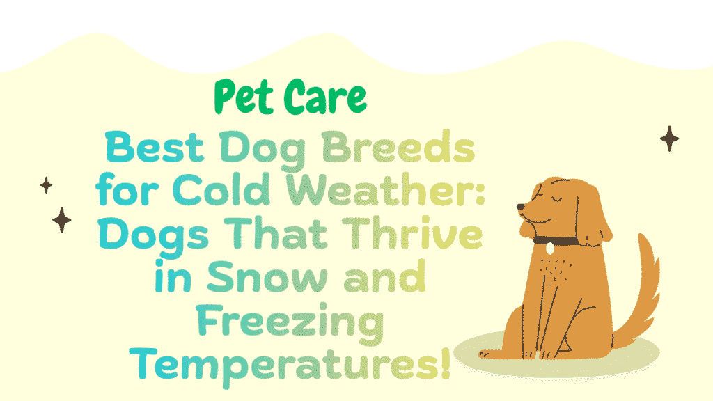 Best Dog Breeds