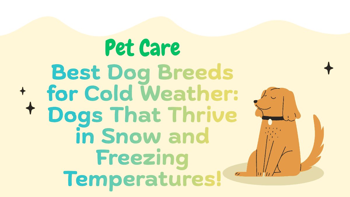 Best Dog Breeds
