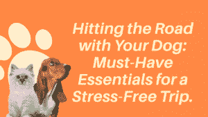 Dog-Friendly Road Trip Essentials: What to Pack and How to Plan 2 Dog-Friendly Road Trip Essentials