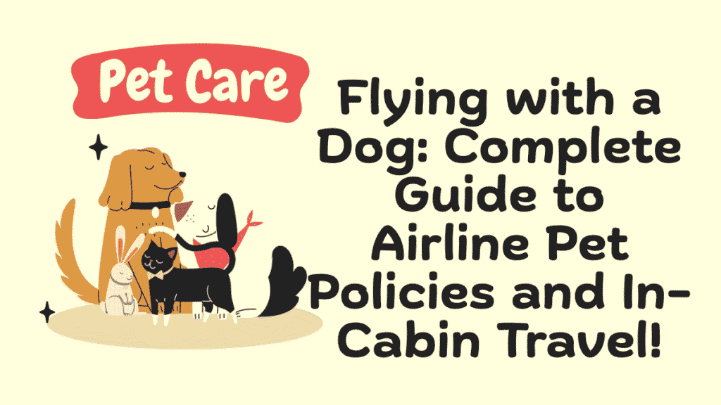 Flying with a Dog
