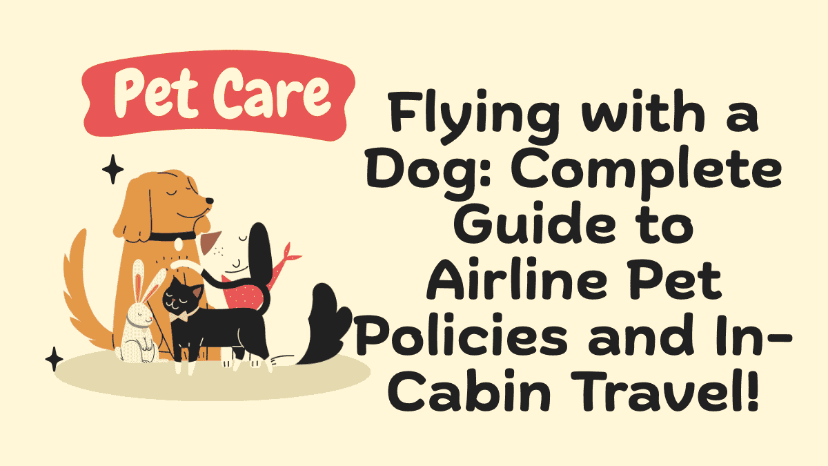 Flying with a Dog