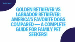 Golden Retriever vs Labrador Retriever