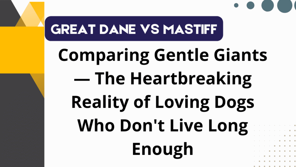 Great Dane
