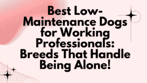 Low-Maintenance Dogs