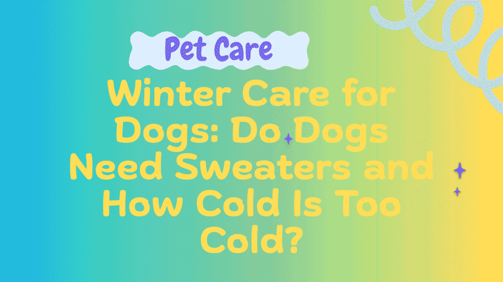 Winter Care for Dogs