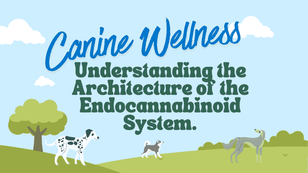 Canine Wellness