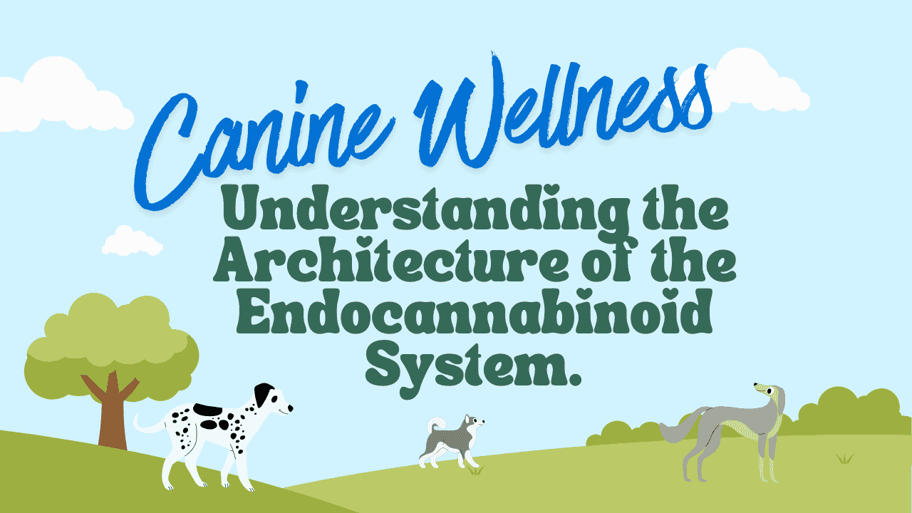 Canine Wellness