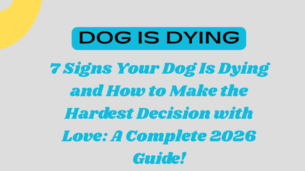 Dog Is Dying