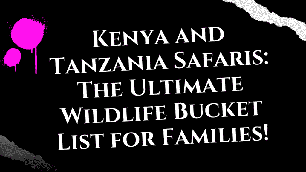 Kenya and Tanzania Safaris