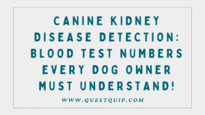 Canine Kidney Disease