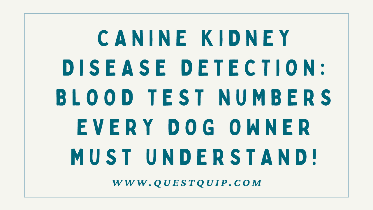 Canine Kidney Disease