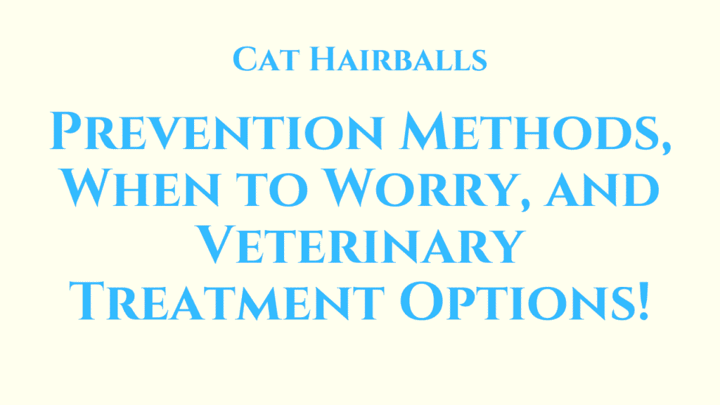Cat Hairballs