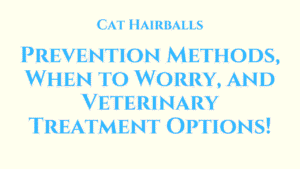 Cat Hairballs