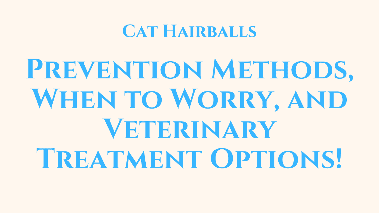 Cat Hairballs