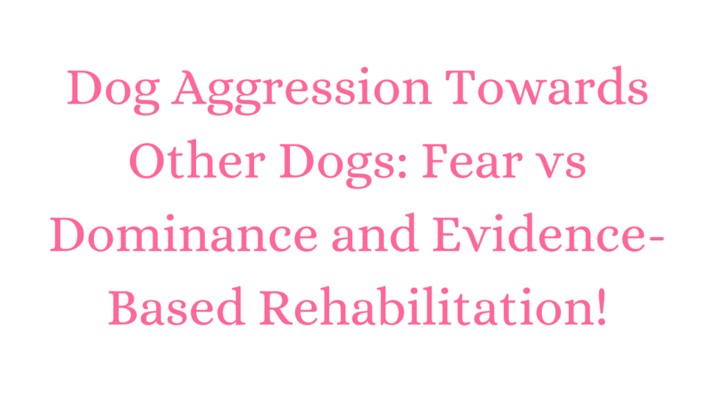 Dog Aggression