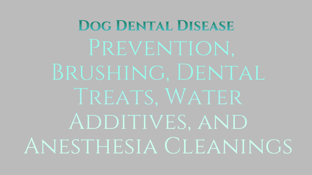 Dog Dental Disease