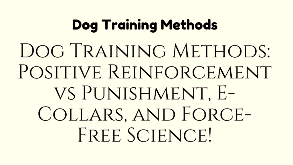 Dog Training Methods: Positive Reinforcement vs Punishment, E-Collars, and Force-Free Science 1 Dog Training Methods