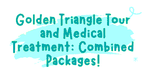 Golden Triangle Tour and Medical Treatment: Combined Packages 10 Golden Triangle Tour