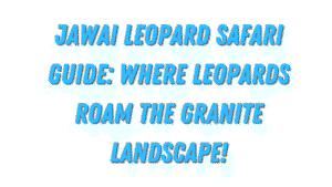 Jawai Leopard Safari Guide