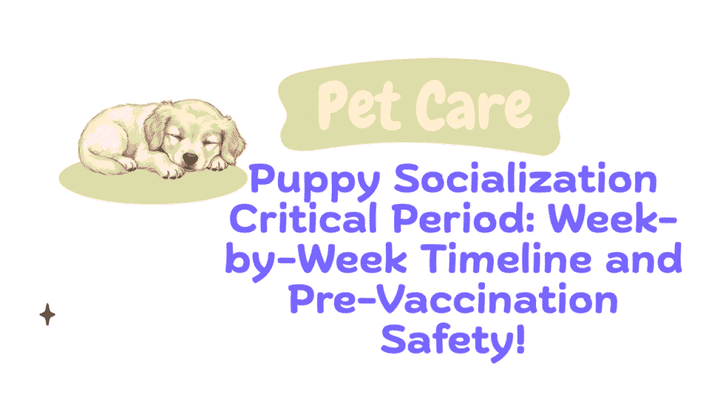 Puppy Socialization