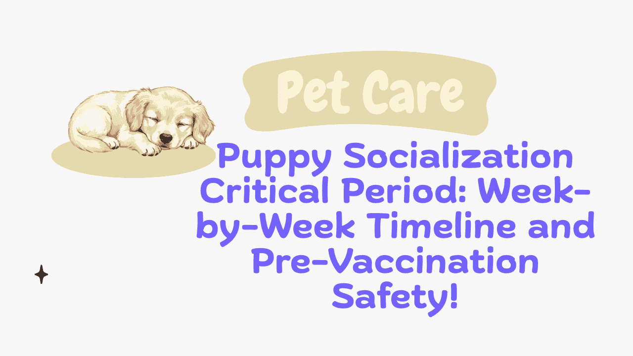 Puppy Socialization
