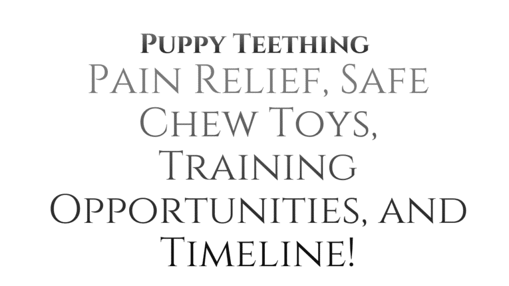 Puppy Teething: Pain Relief, Safe Chew Toys, Training Opportunities, and Timeline 1 Puppy Teething