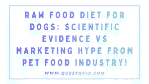 Raw Food Diet for Dogs