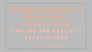 Separation Anxiety in Rescue Dogs: Rehabilitation Timeline and Realistic Expectations 2 Separation Anxiety in Rescue Dogs
