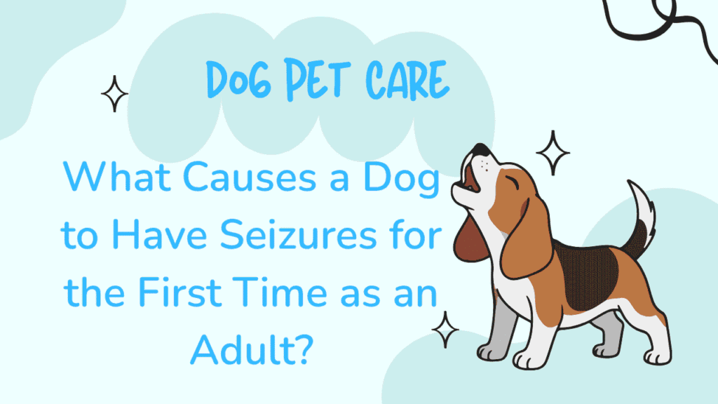 Dog to Have Seizures
