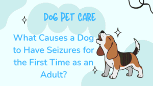 Dog to Have Seizures