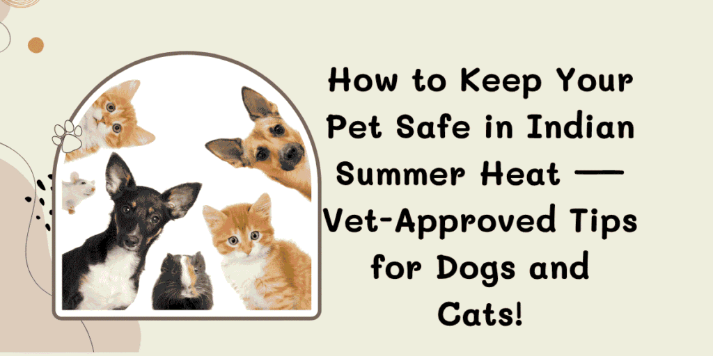 Pet Safe