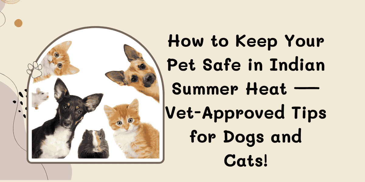 Pet Safe