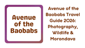 Avenue of the Baobabs Travel Guide 2026: Photography, Wildlife & Morondava 3 Baobabs Travel Guide