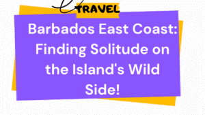 Barbados East Coast: Finding Solitude on the Island's Wild Side 7 Barbados East Coast