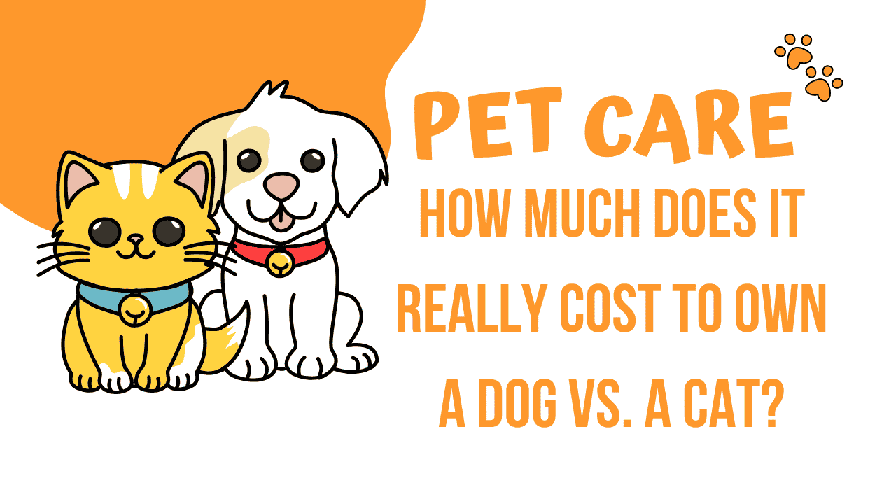 Cost to Own a Dog vs. a Cat