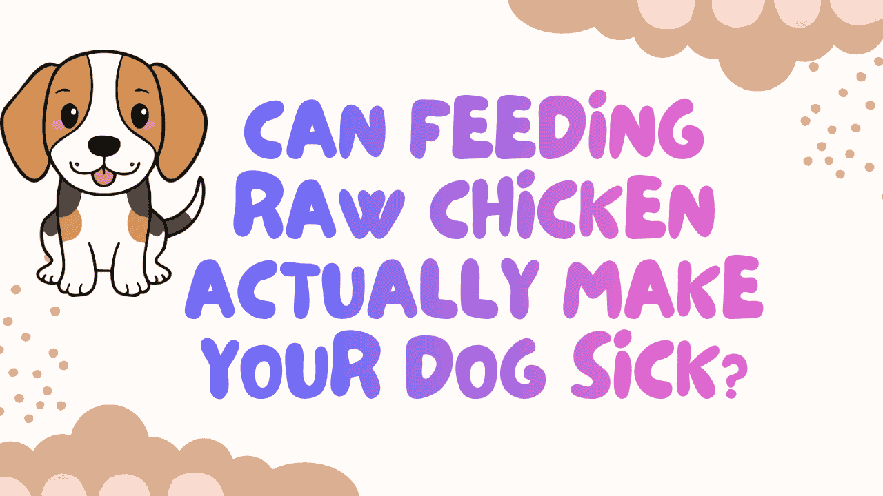 Dog Sick