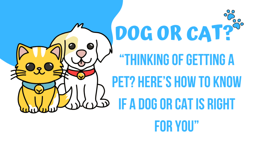 Dog or Cat?