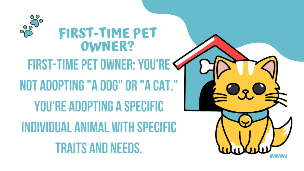 First-Time Pet Owner?