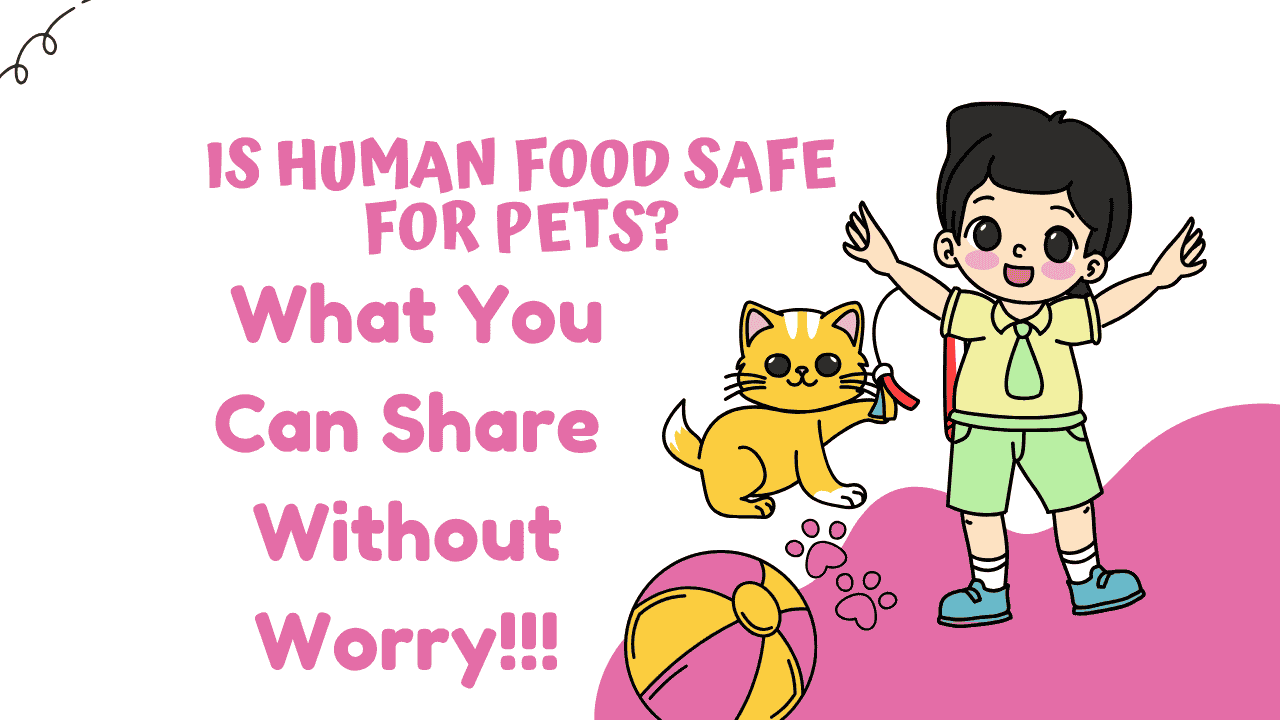 Is Human Food Safe for Pets