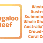 Ningaloo Reef