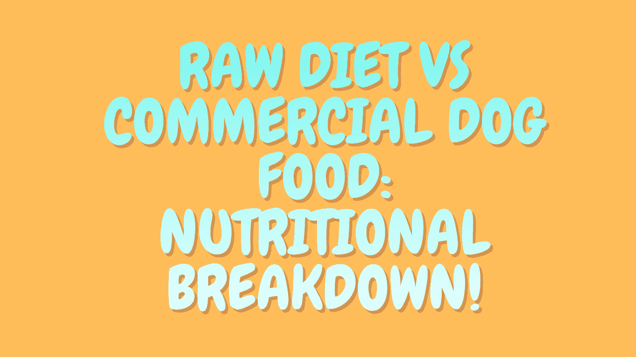 Raw Diet