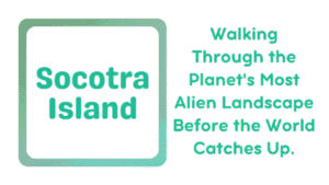Socotra Island: Walking Through the Planet's Most Alien Landscape Before the World Catches Up 3 Socotra Island
