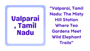 Valparai, Tamil Nadu: Tea Estates, Mist, and Wild Elephant Encounters in India's Best-Kept Hill Station 7 Valparai, Tamil Nadu