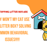 cat stopping litter box use
