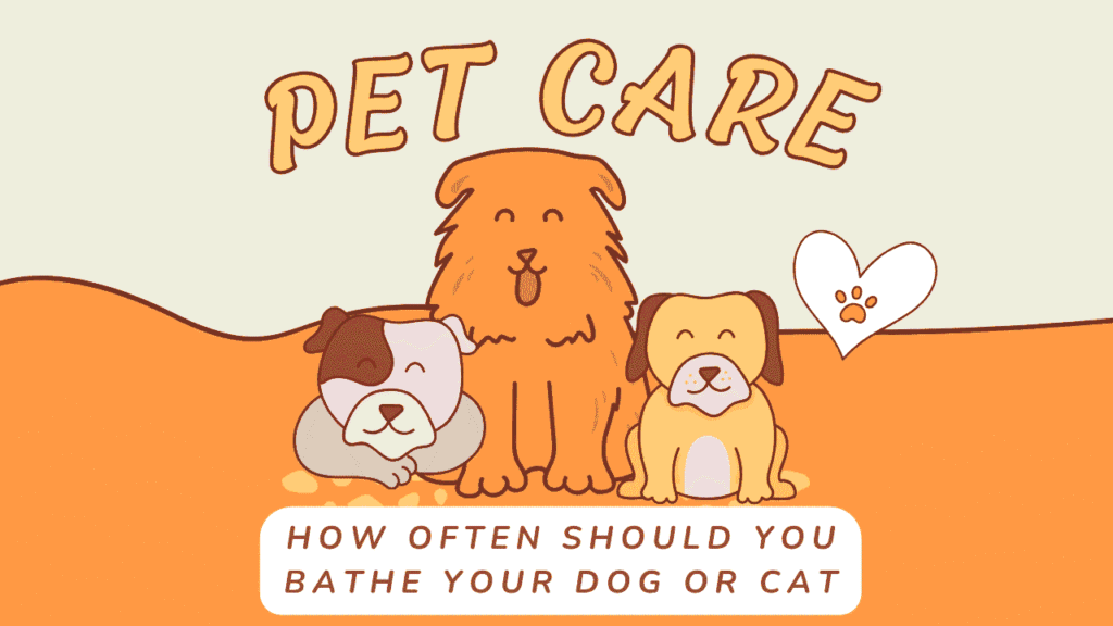 Bathe Your Dog