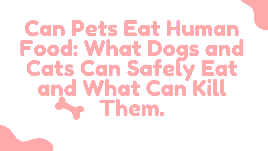 Can Pets Eat Human Food